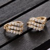 Trendy Double Row of Zircon Earrings ER0042
