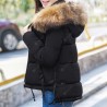 short Slim Winter Jackets Women 2018 Down Jacket Women Outerwear Winter Coat