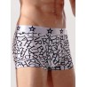 Stretch Boxers Graphic Swimming Trunks