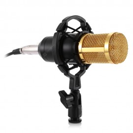 ZEEPIN BM - 800 Condenser Microphone for Recording