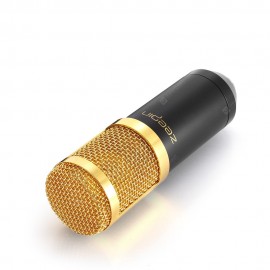 ZEEPIN BM - 800 Condenser Microphone for Recording