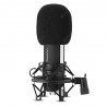 Yanmai Q8 Professional Cardioid Microphone for Recording