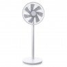 Smart DC Frequency Stand Fan