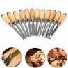 Wood Carving Knife Chisel Set 12 Pcs Sharp Woodworking Tools with Carrying Case Great for Beginners