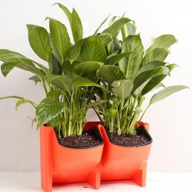 Simple Three-dimensional Combination Plant Flower Pot