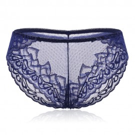 Plus Size See Through Lace Hip Lifting Mid Waist Panties