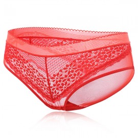 Sexy See Through Mesh Breathable Mid Waist Panties For Women