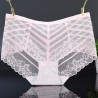 Sexy See Through Mesh Seamless Breathable Mid Waist Panties