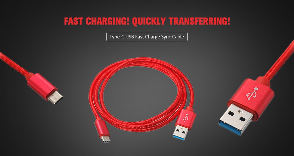 USB Type C Fast Charger Cable Type-C USB Charger Cable- Celeste
