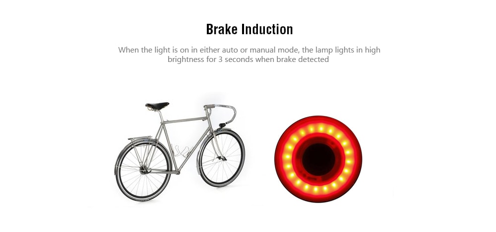 Xlite100 Bicycle Intelligent Induction Brake Lights USB Charging Night Taillights- Black Seat tube