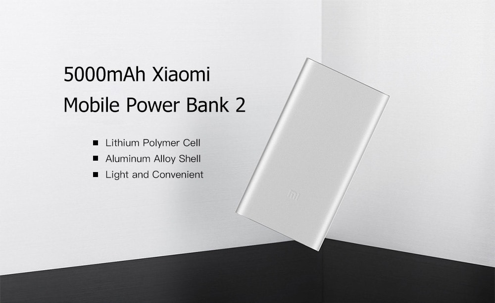 Original Xiaomi PLM10ZM 5000mAh Portable Mobile Power Bank 2- Silver