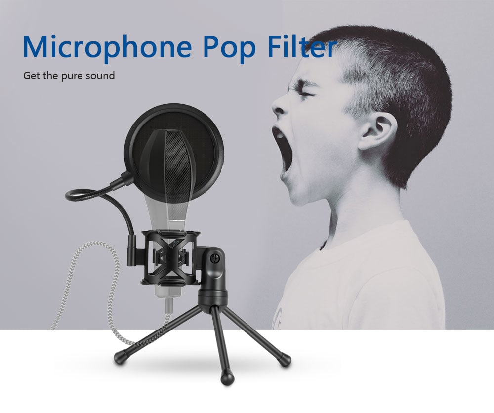 PS - 2 Microphone Filter with Adjustable Desktop Stand - Black