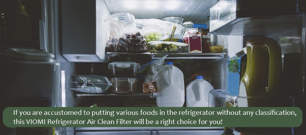 VIOMI VF1 - CB Herbaceous Refrigerator Air Clean Filter Sterilization - Silver