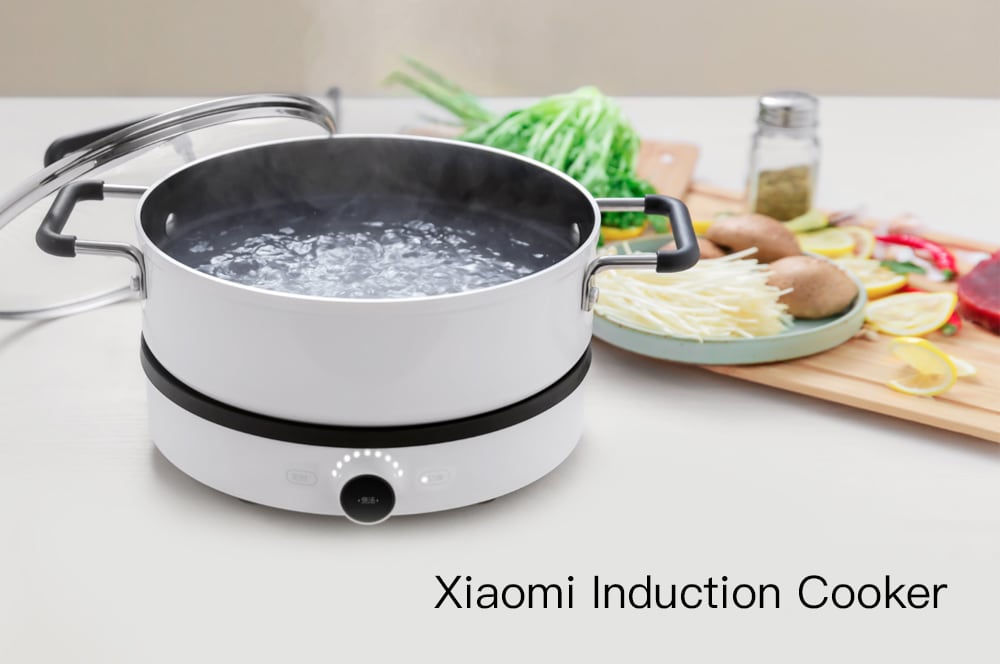 Xiaomi DCL01CM Creative Precise Control Induction Cooker- White Two Pin Chinese Plug