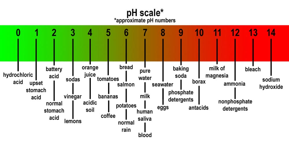pH-961 pH Test Pen / Meter- Silver