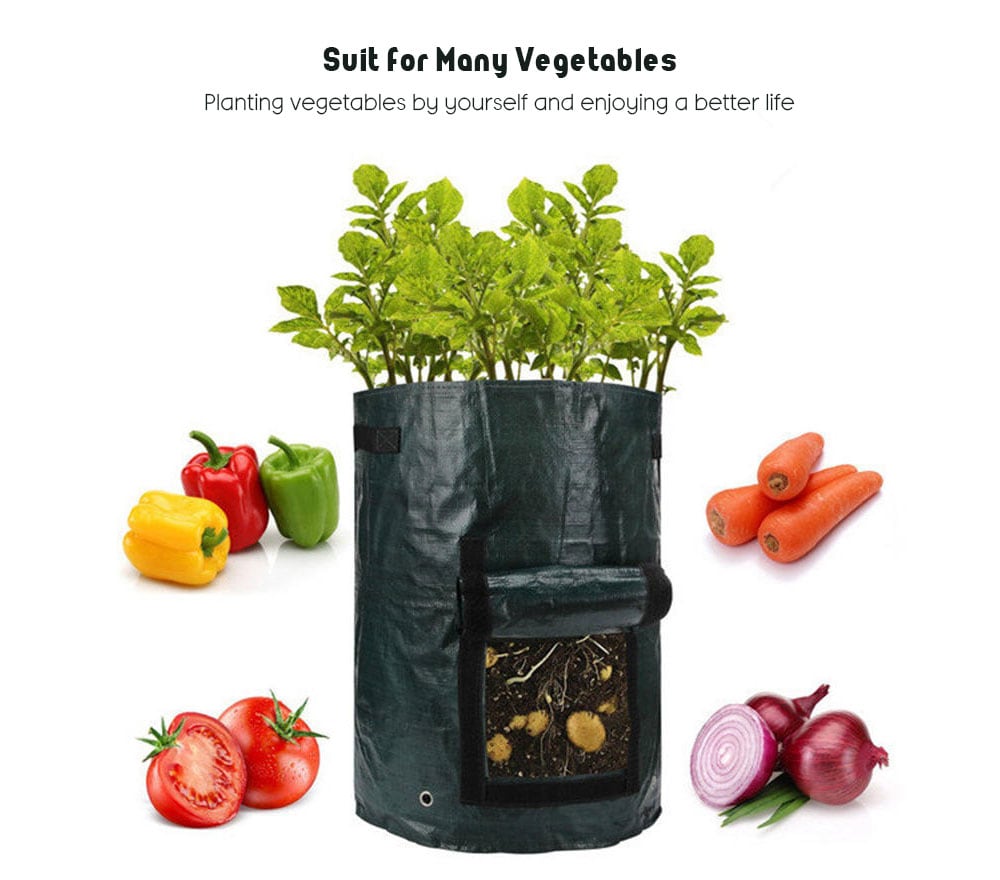 Potato Planting Vegetable Bag Simple Gardening PE Barrel- Medium Sea Green