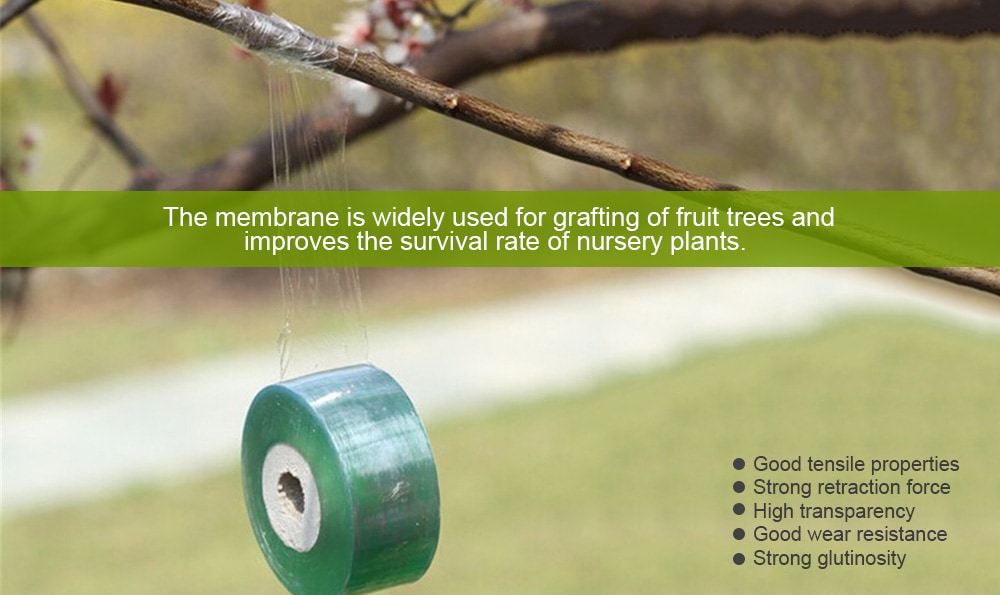 Self-adhesive Stretchable Fruit Tree Grafting Membrane - Green Onion 1Pc