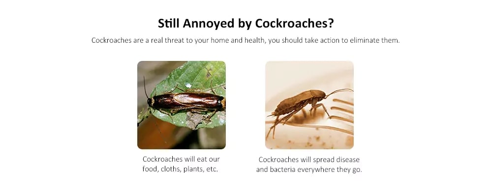 Reusable Automatic Cockroach Trap Efficient Bug Catcher Pest Control- Black