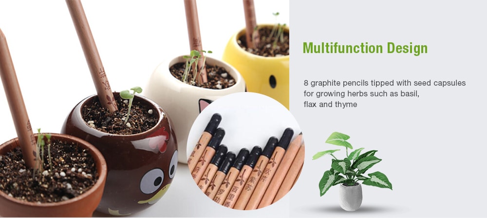 Wood Plantable Sprout Pencils Stationery Student Writing Pencil with Different Plants Seeds 8pcs- Tan