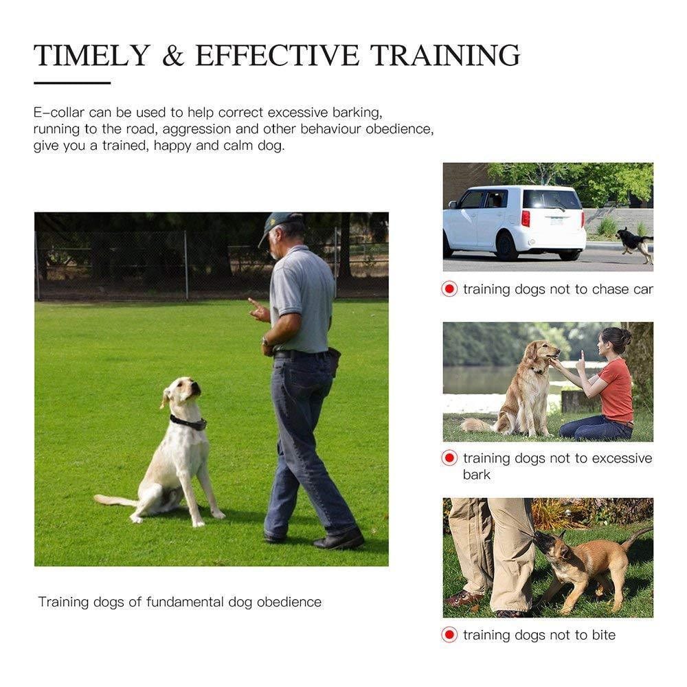 Shock Training Collar Electronic Remote Control Waterproof 875 Yards 2 Dogs- Black US Plug (2-pin)