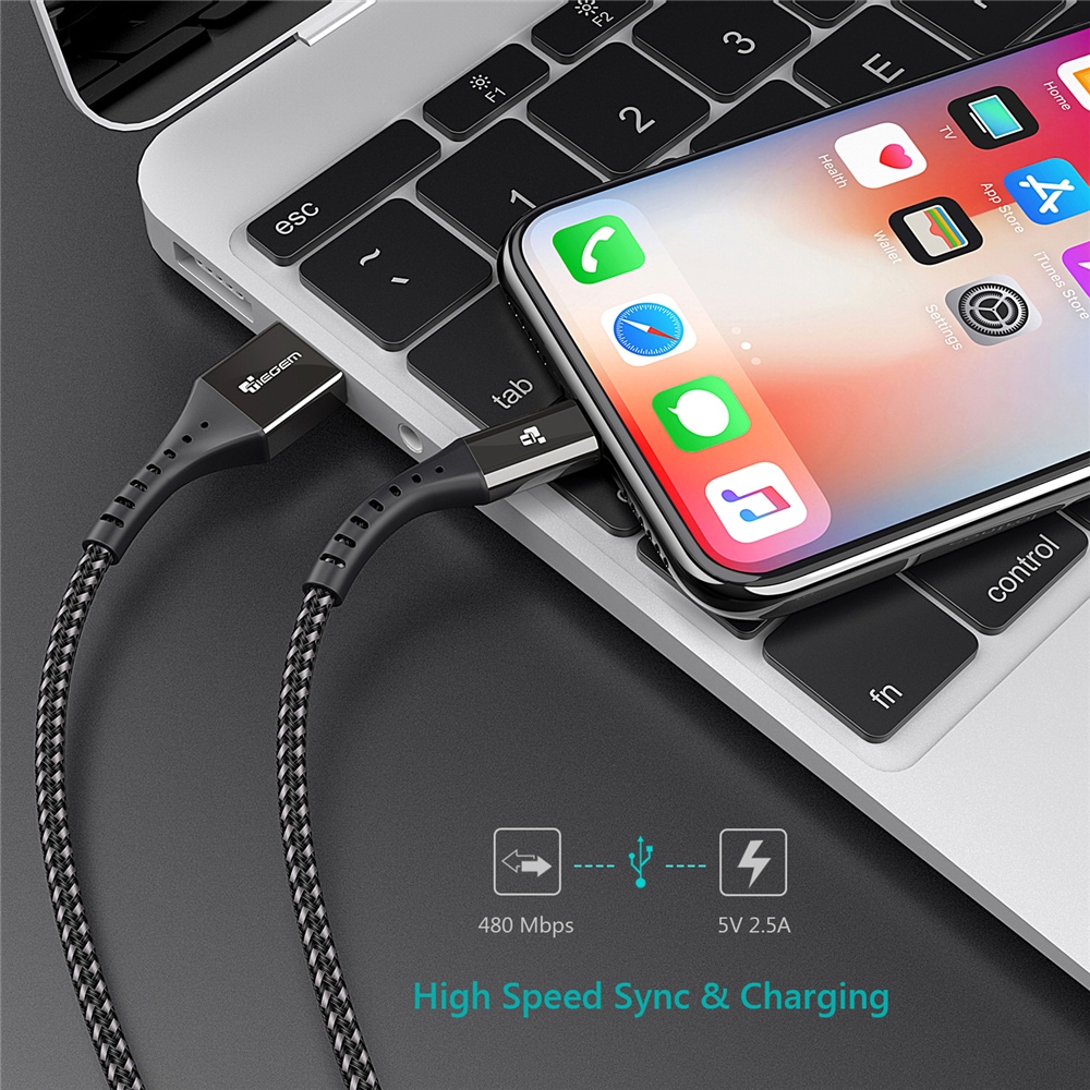 TIEGEM USB Charger Cable for iPhone X XS Cable Fast Charger for iPhone 6 6s 7 8- Black 0.3M